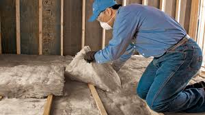 Professional Insulation in Zephyrhills North, FL